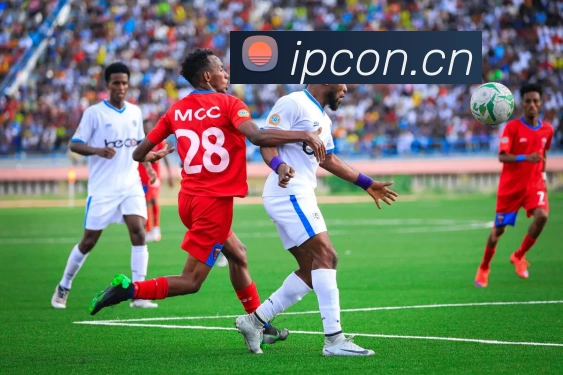 必一运动官网登录APP 封面图